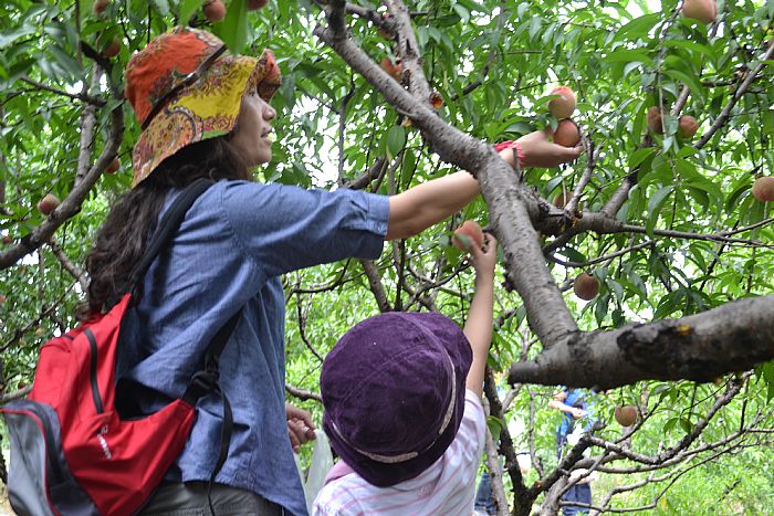 news_2011628819361.jpg
