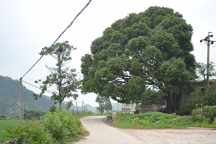 news_2011628913501.jpg