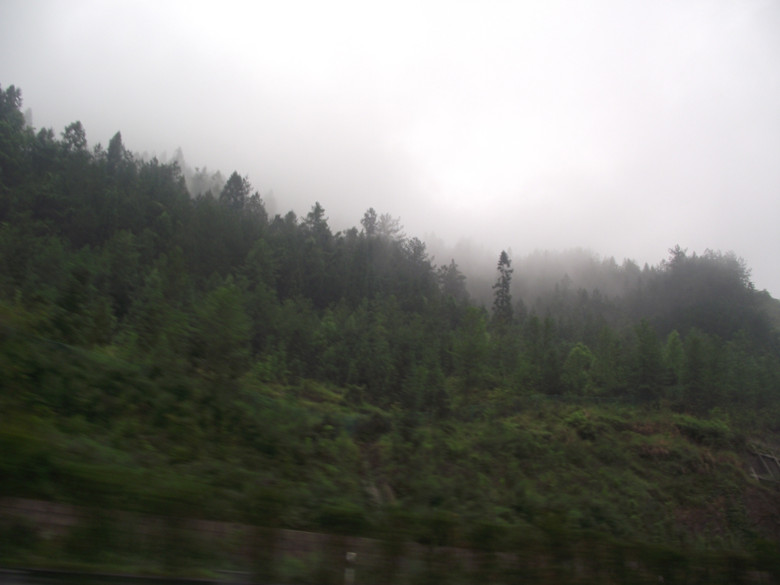 Ƭ 001_.jpg