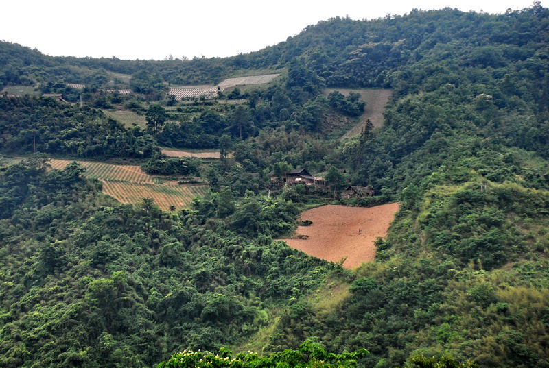 dsc_0764.jpg