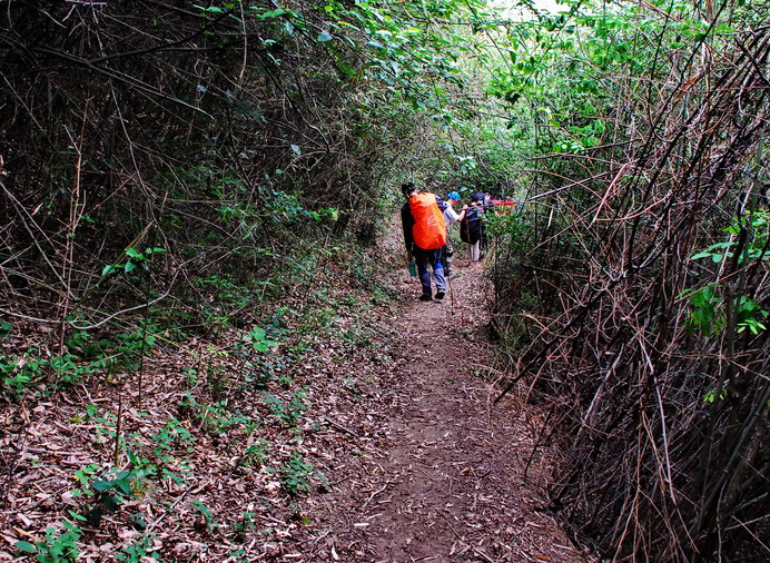 dsc_0766.jpg