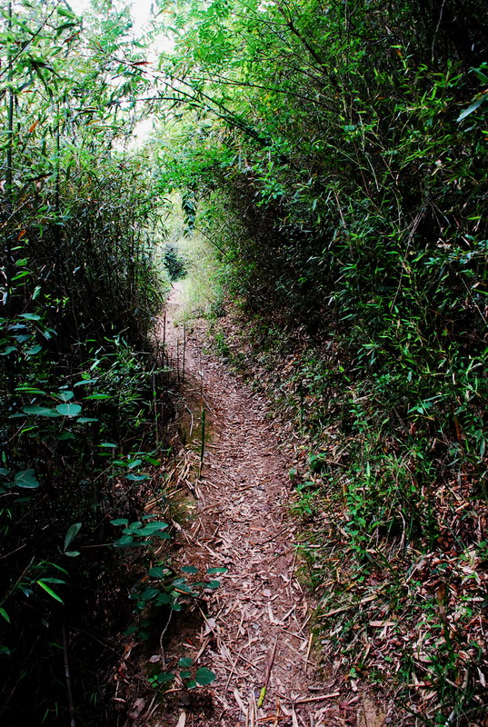 dsc_0769.jpg