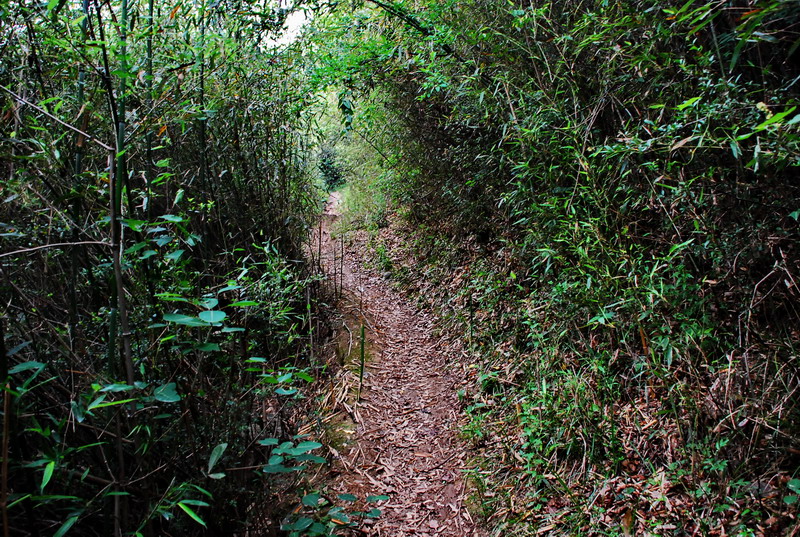 dsc_0770.jpg
