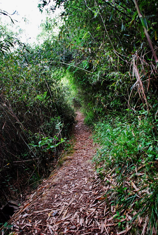 dsc_0772.jpg