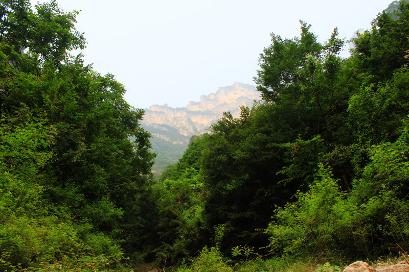 img_6121.jpg