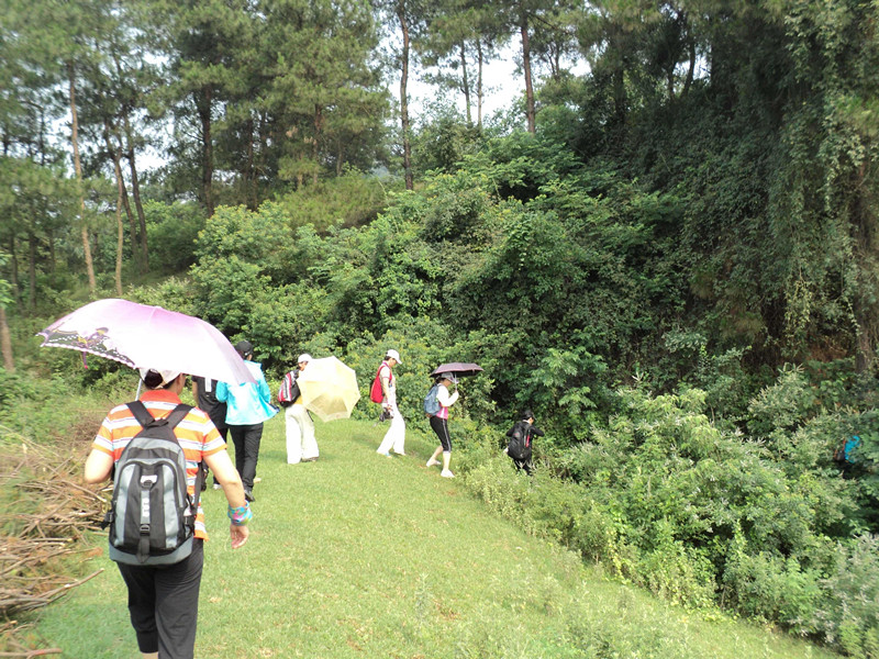 dsc04639_.jpg
