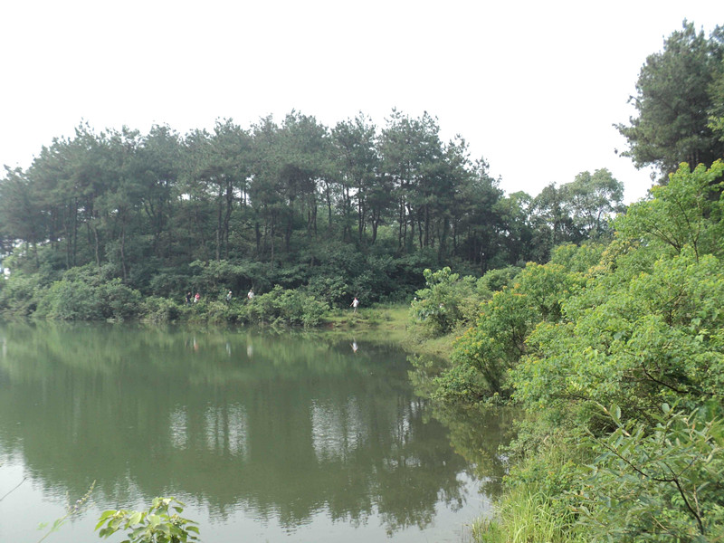dsc04649_.jpg