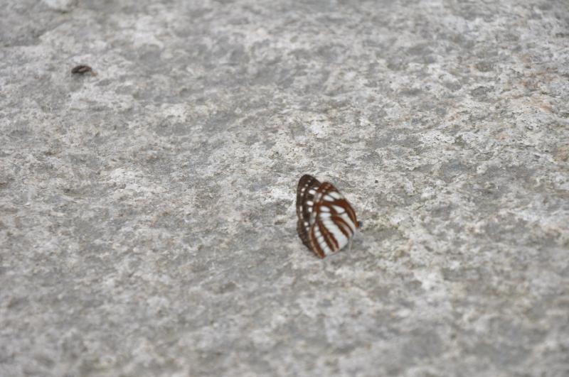dsc_0232.jpg