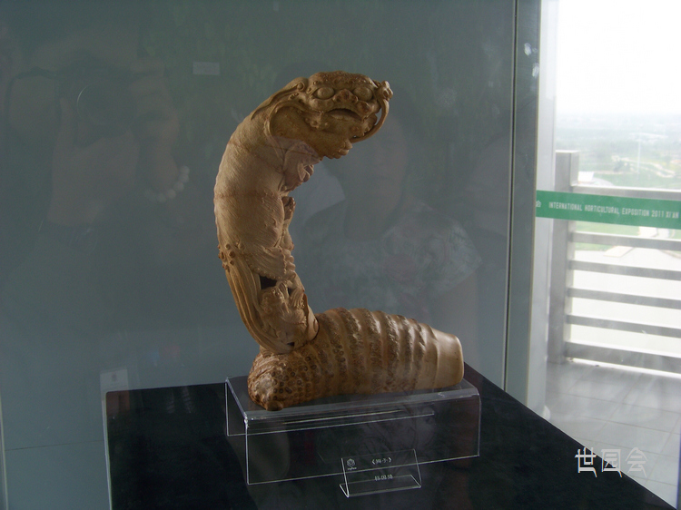 20110601j԰᳤ (26)Ʒ.jpg