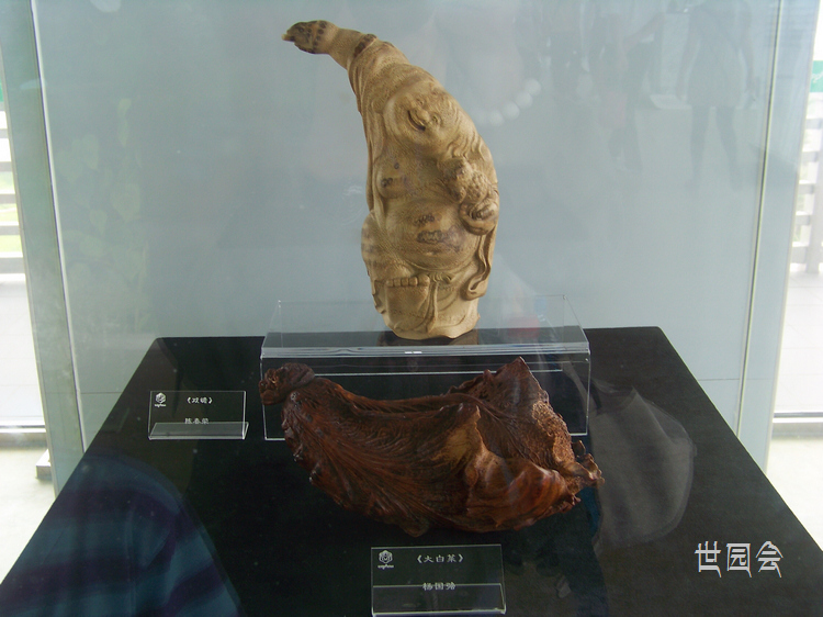 20110601j԰᳤ (37).jpg