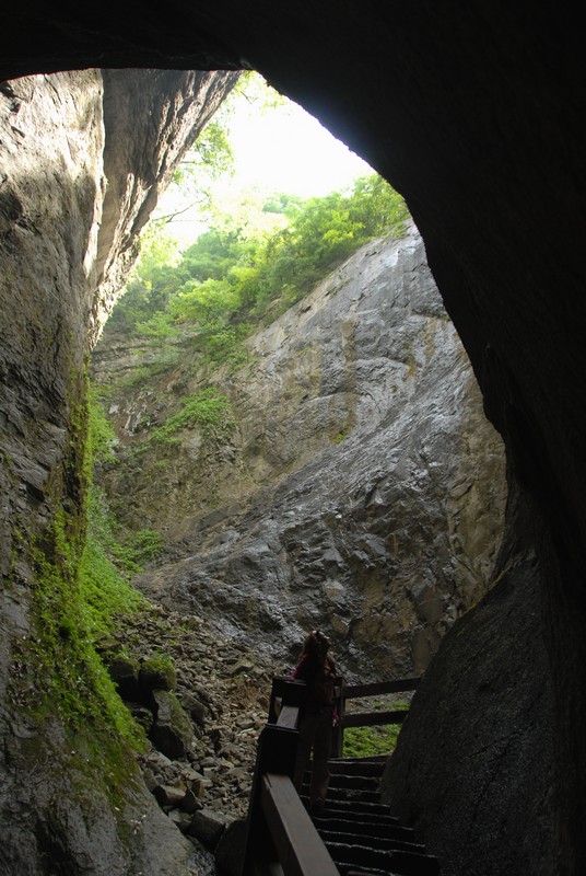 dsc_0766.jpg