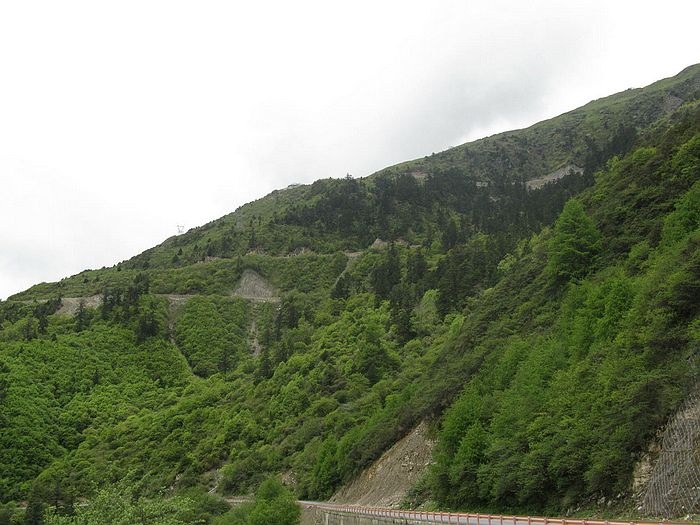 img_4498.jpg