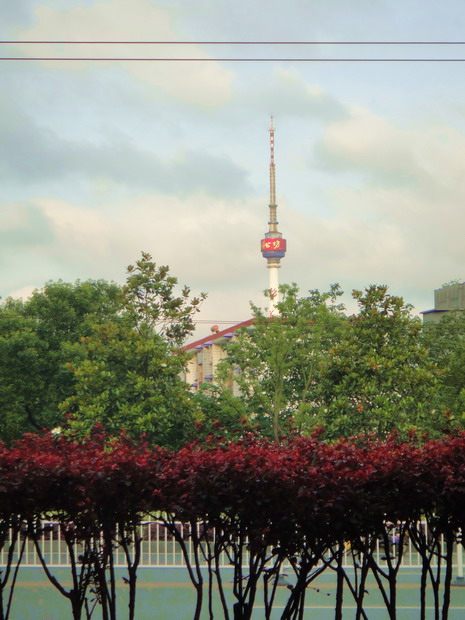 dsc01704.jpg