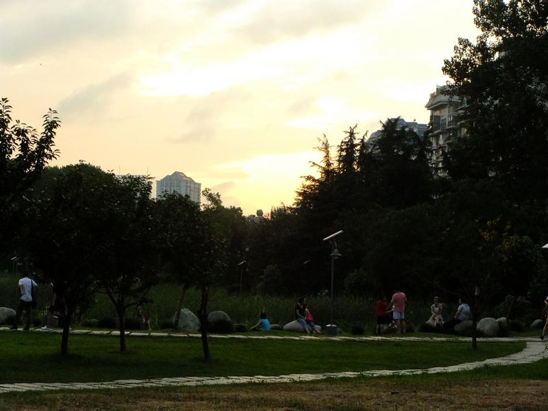 dscf5013.jpg