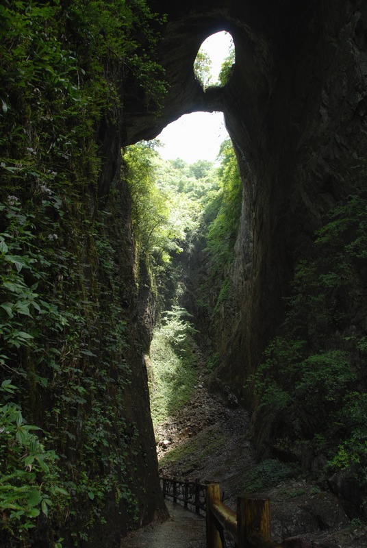 dsc_0735.jpg