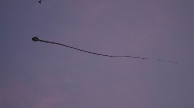 С Ƭ 035.jpg