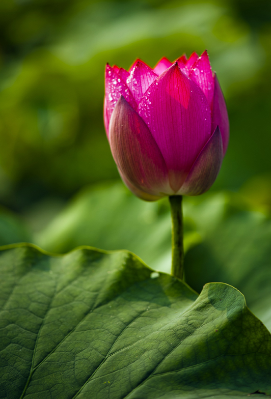 dsc_6894a.jpg