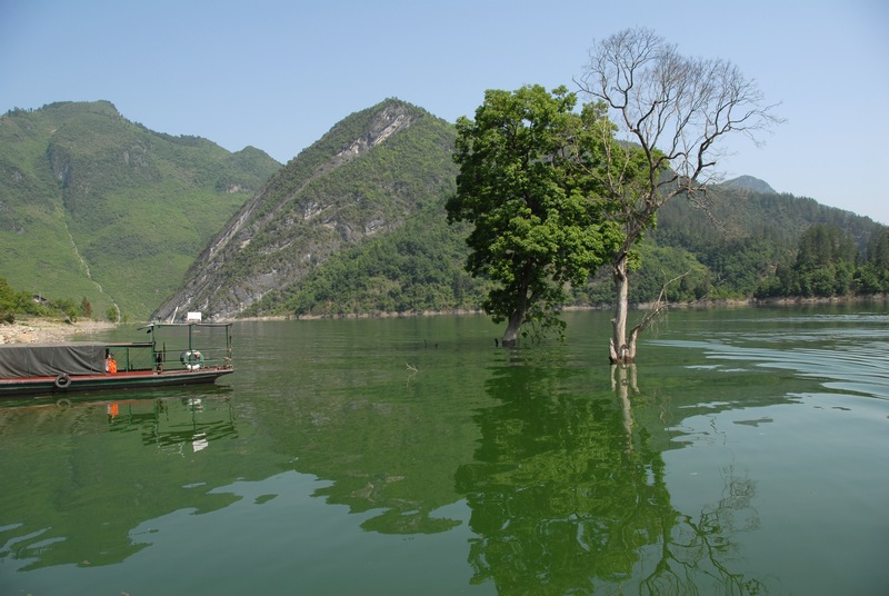 dsc_0307.jpg