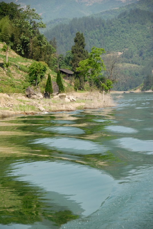 dsc_0382.jpg