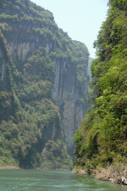 dsc_0515.jpg