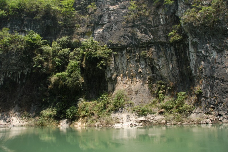 dsc_0517.jpg