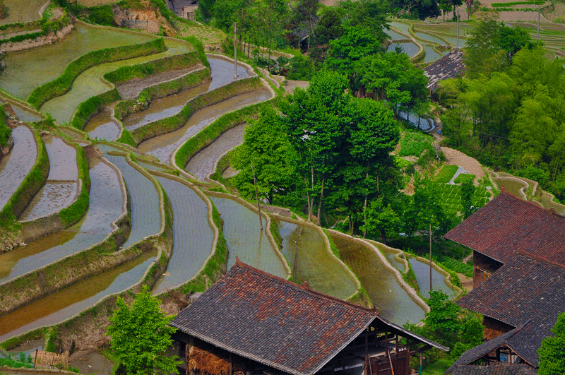 ȵ20110520 175.jpg