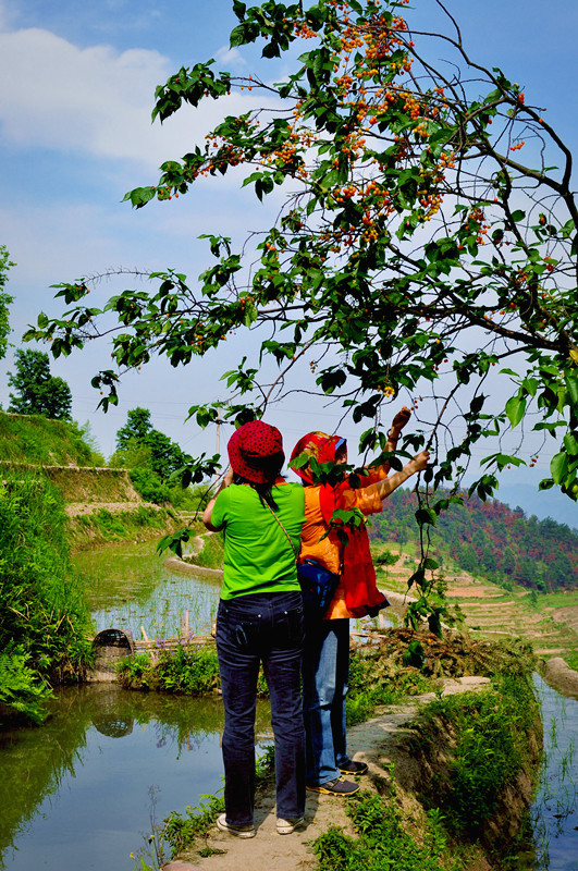 ȵ20110520 111.jpg