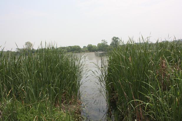 img_9619.jpg