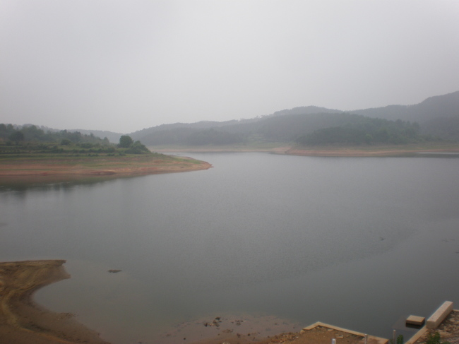 20110605_091008_09.jpg