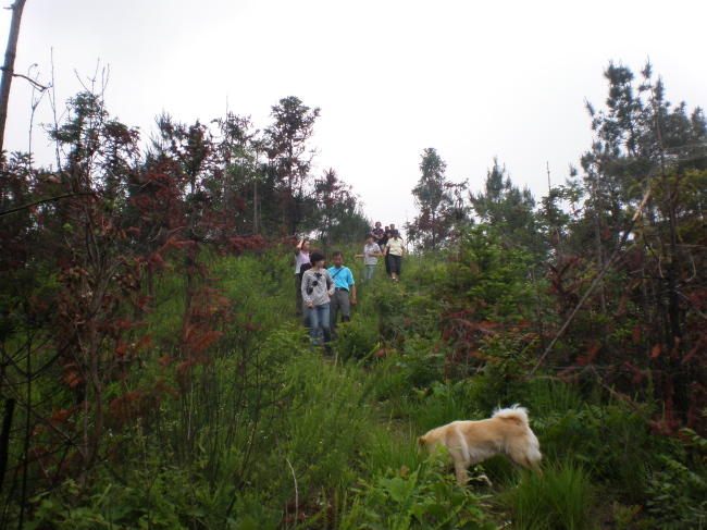 20110605_101126_35.jpg