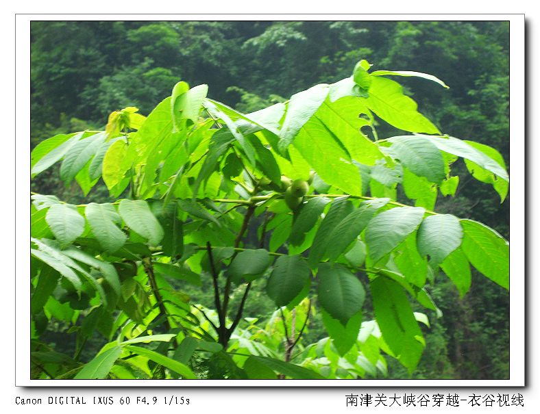 Ͻ20110604 036.jpg