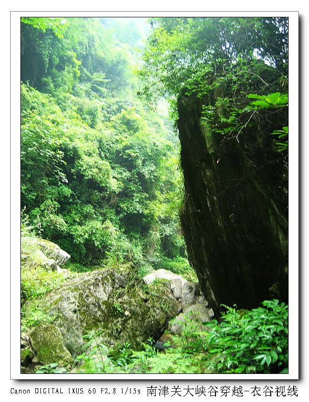Ͻ20110604 060.jpg