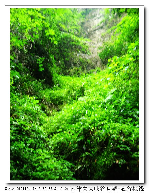 Ͻ20110604 074.jpg