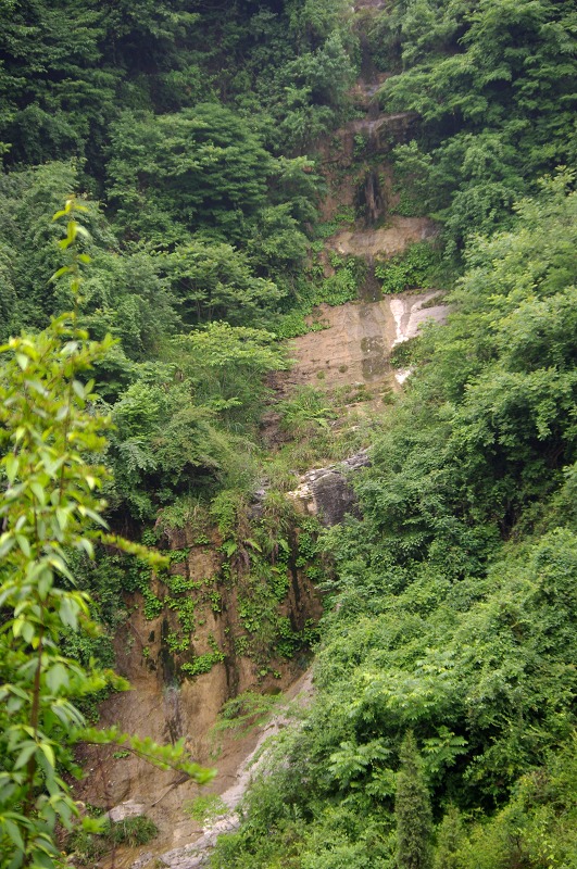 imgp0096.jpg