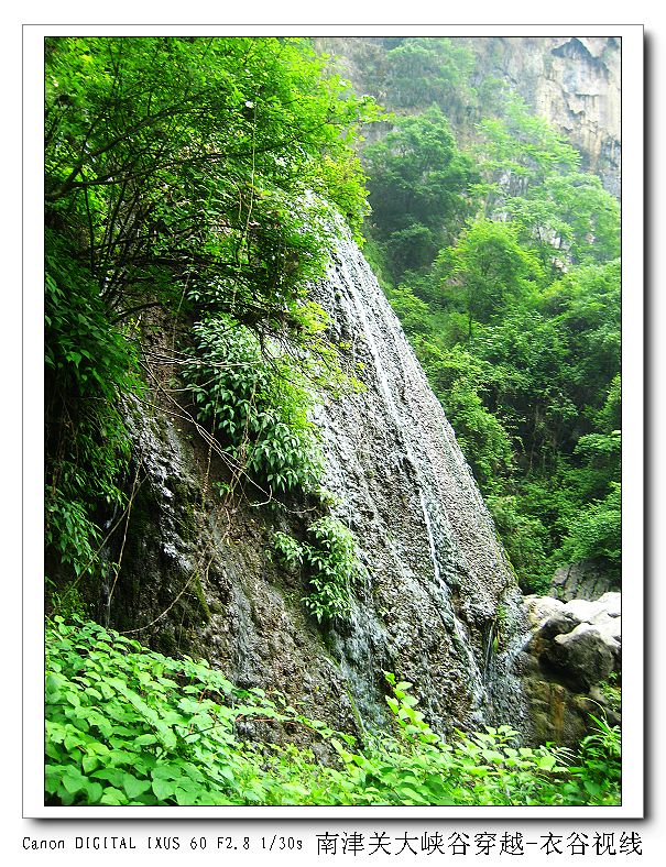 Ͻ20110604 052.jpg