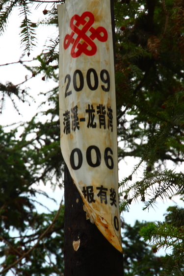 dpp_0211.jpg