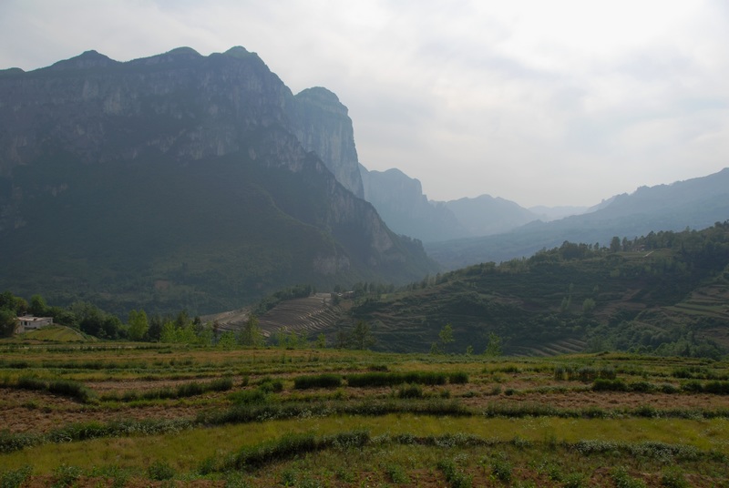 dsc_0264.jpg