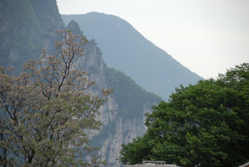 dsc_0299.jpg