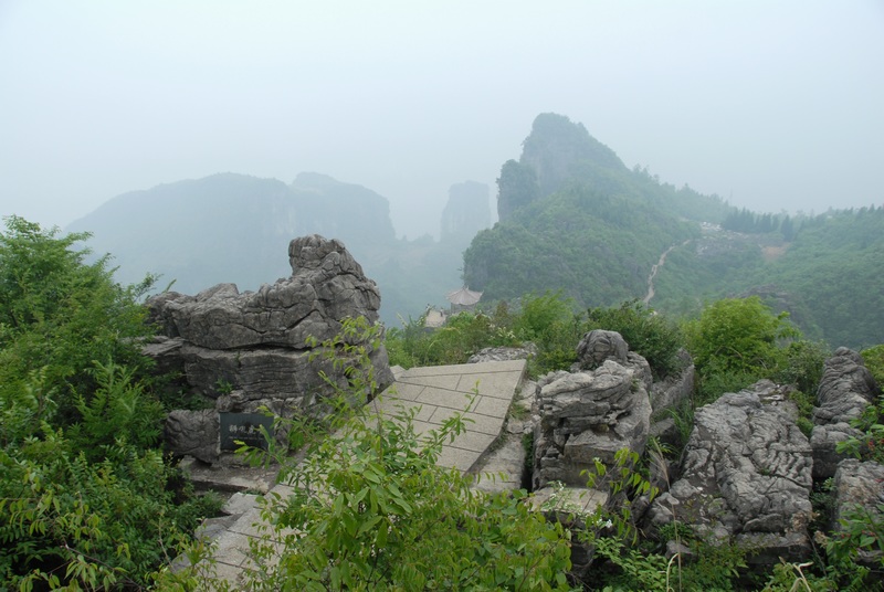 dsc_0039.jpg