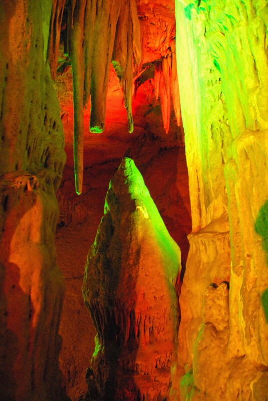dsc_0182.jpg