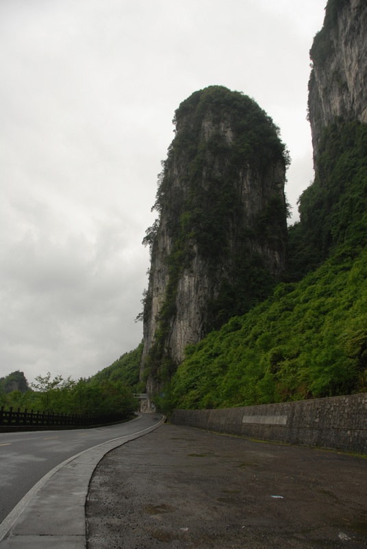 dsc_0219.jpg