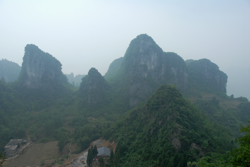dsc_0008.jpg