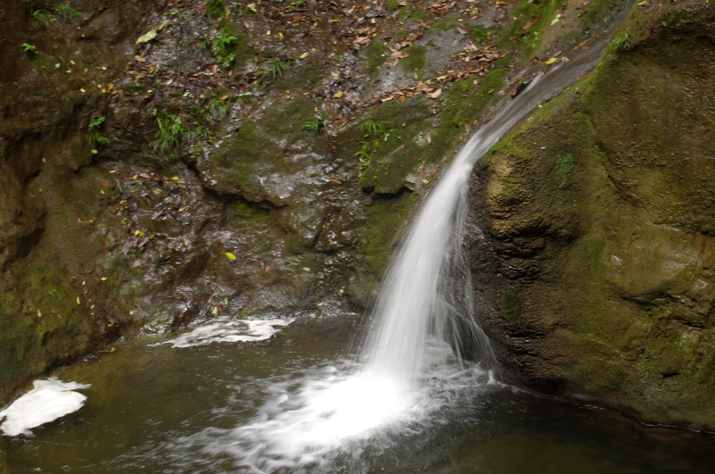 imgp0038.jpg