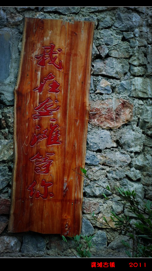 p1130035_.jpg