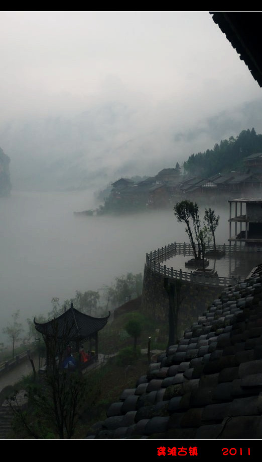 p1130076_.jpg
