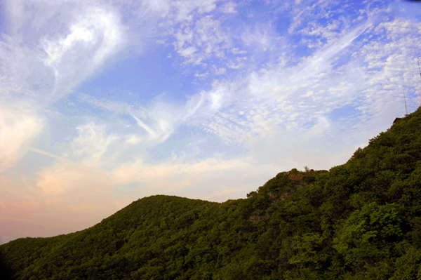 dsc_6482a.jpg