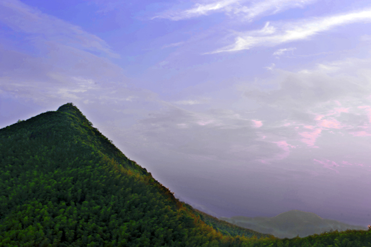 dsc_6492a.jpg