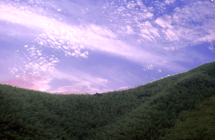 dsc_6510a.jpg