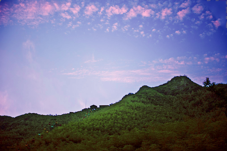 dsc_6531a.jpg
