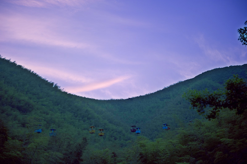 dsc_6532_1a.jpg